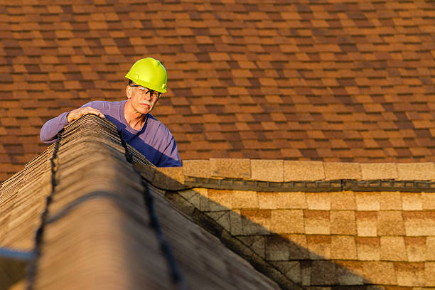 Best Roof Gutter Cleaning  in Eagleton Village, TN